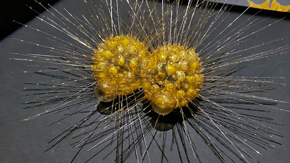 Detalje fra udstillingen HAVET på Louisiana