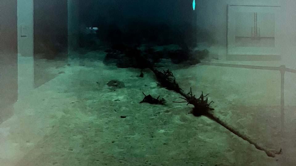 Detalje fra udstillingen HAVET på Louisiana