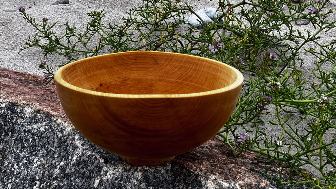 Drejet skål i frisk birketræ
