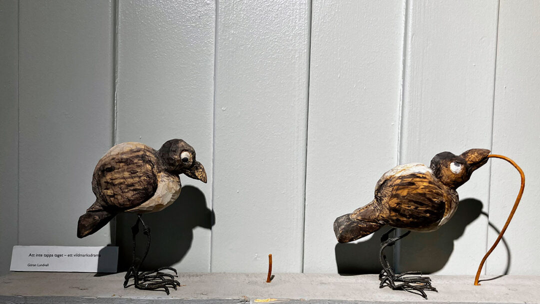 Snittet fugle - Säterglantan